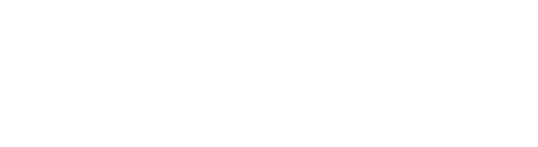 DartVPS Logo